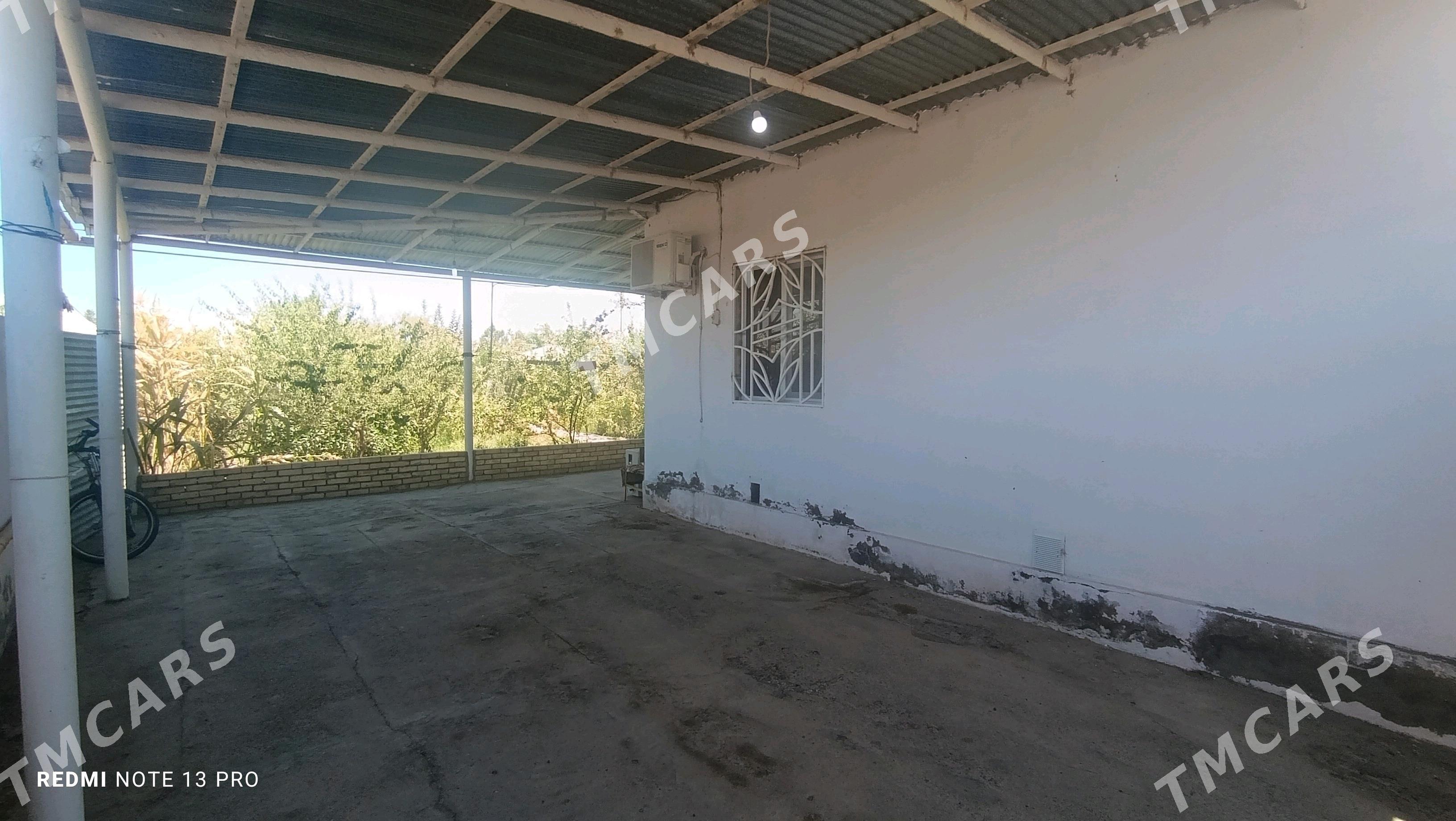Daça arenda sutoçny - Mary - img 2