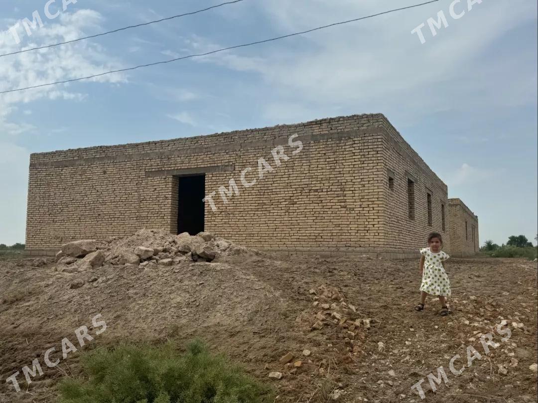 marks ruhybelent obasy Plan jay - Болдумсаз - img 2