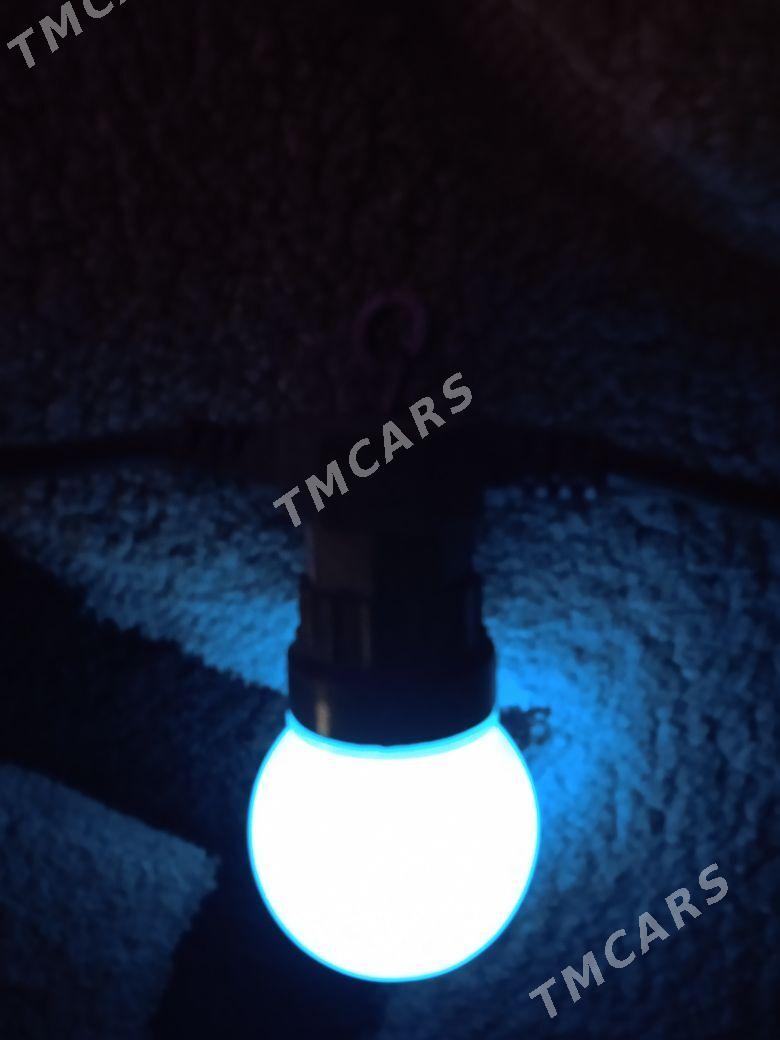 Led Çyra - Büzmeýin - img 2