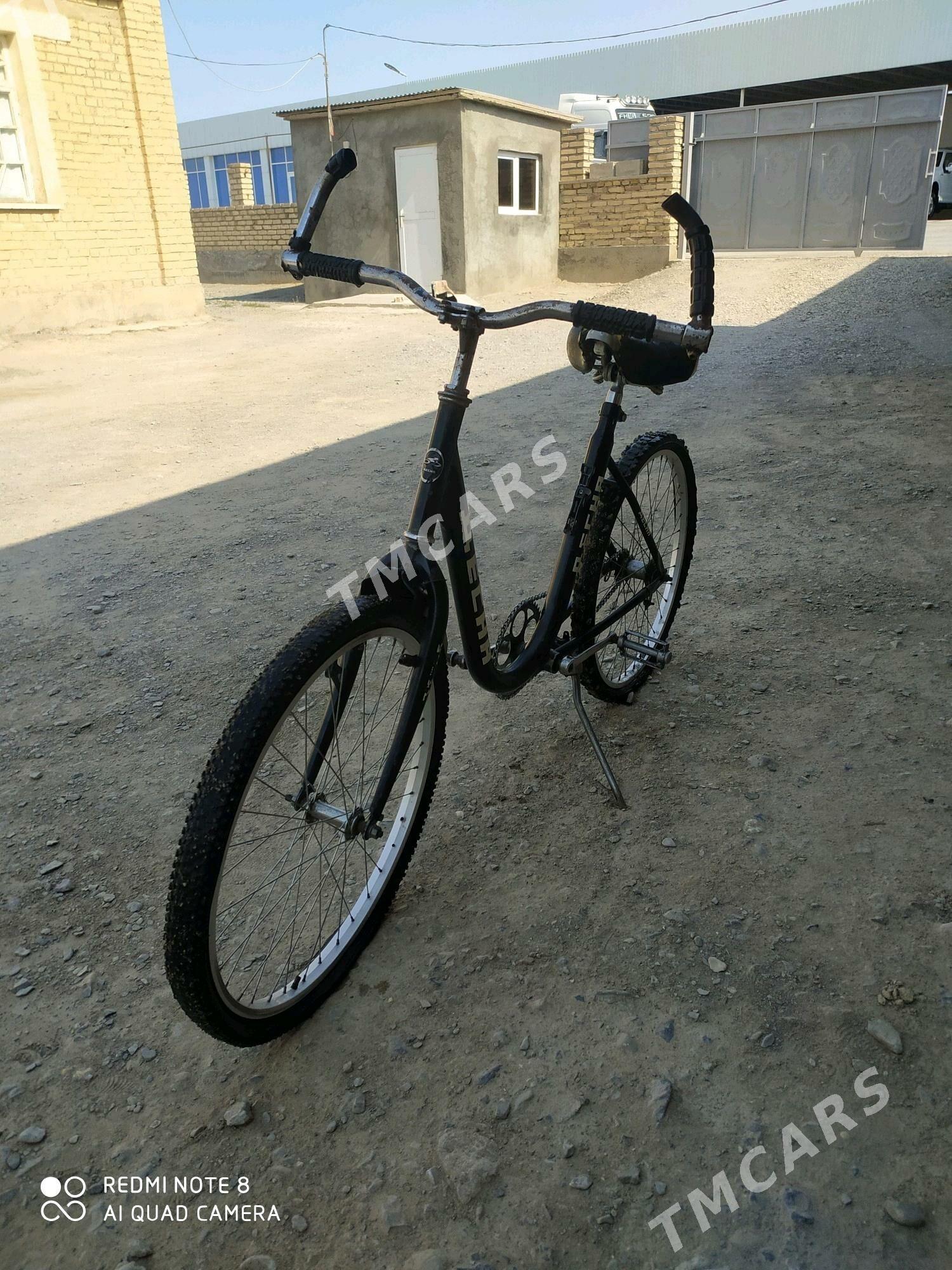tigir - Bäherden - img 2