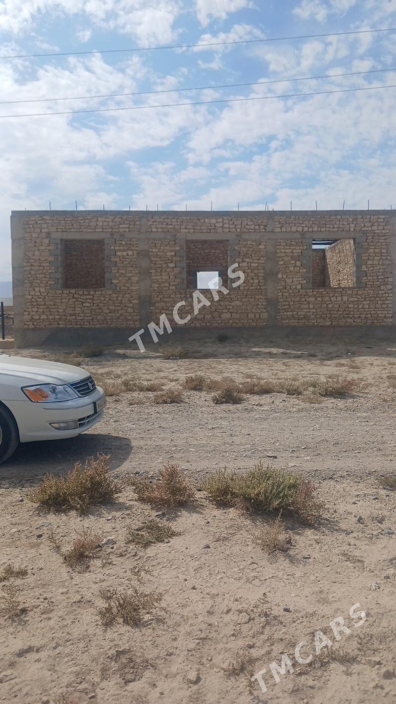 Jay - Gyzylarbat - img 2