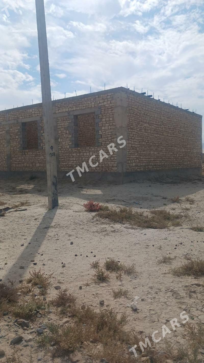 Jay - Gyzylarbat - img 1