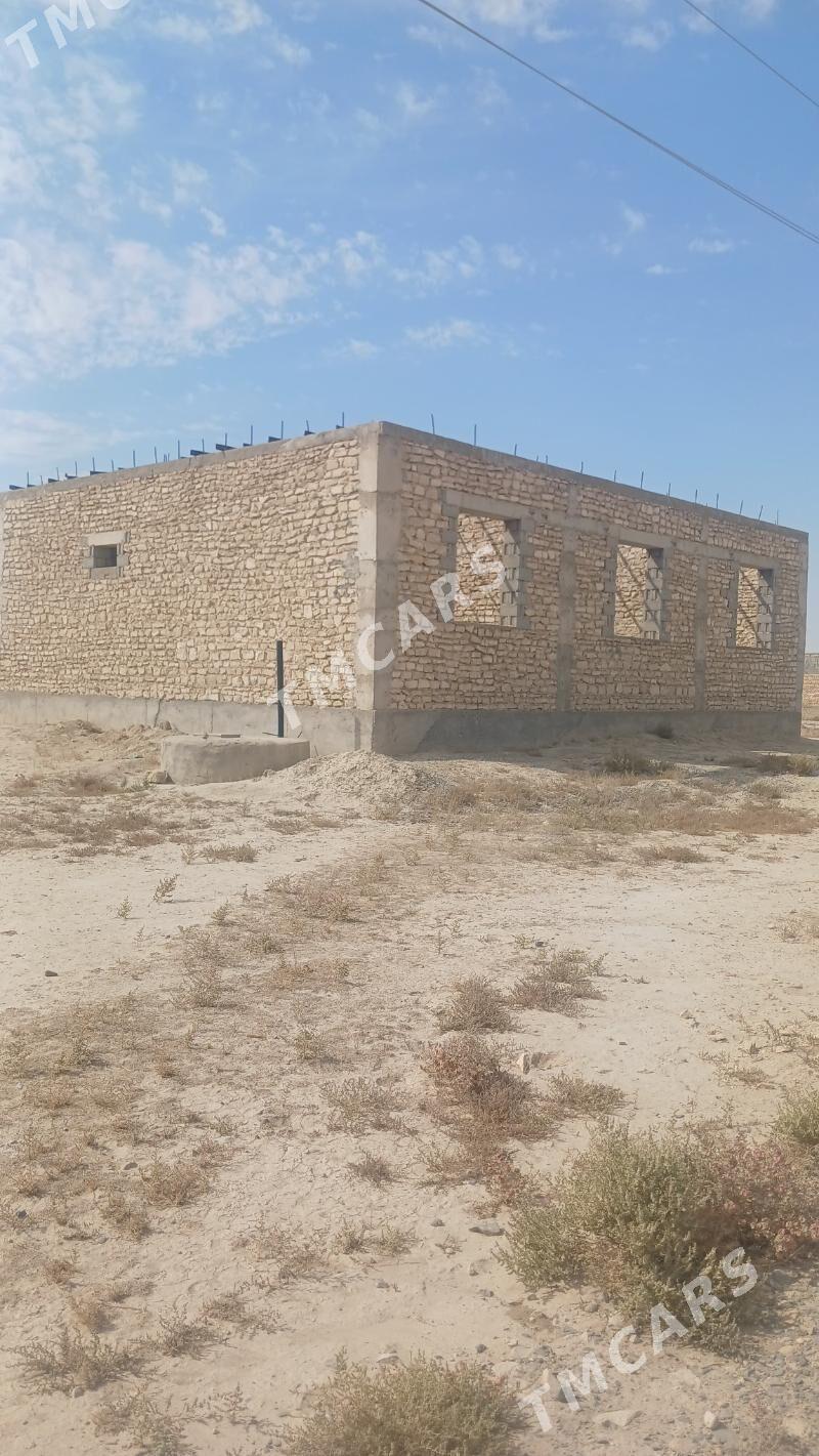 Jay - Gyzylarbat - img 3