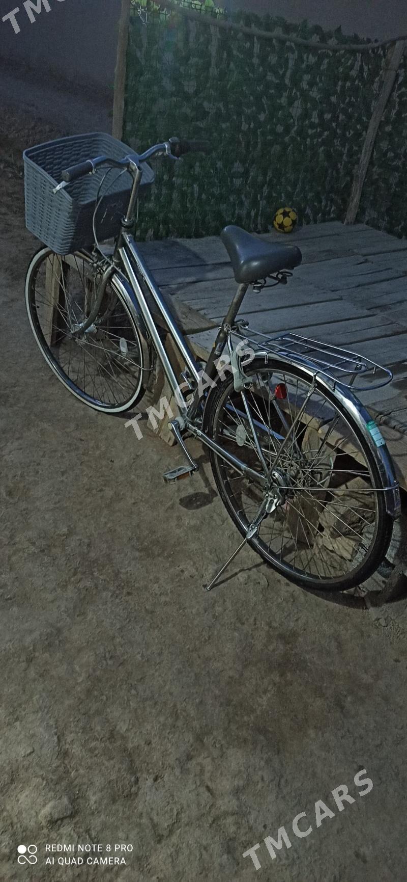 Yaposhka velsapet - Köneürgenç - img 2