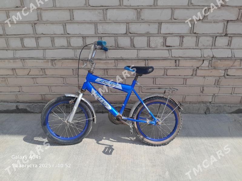 welosapet - Şabat etr. - img 2