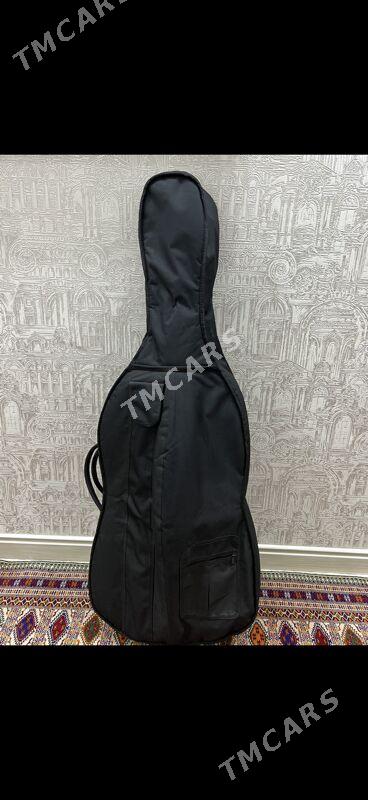 Saz guraly Wiolençel - Aşgabat - img 2