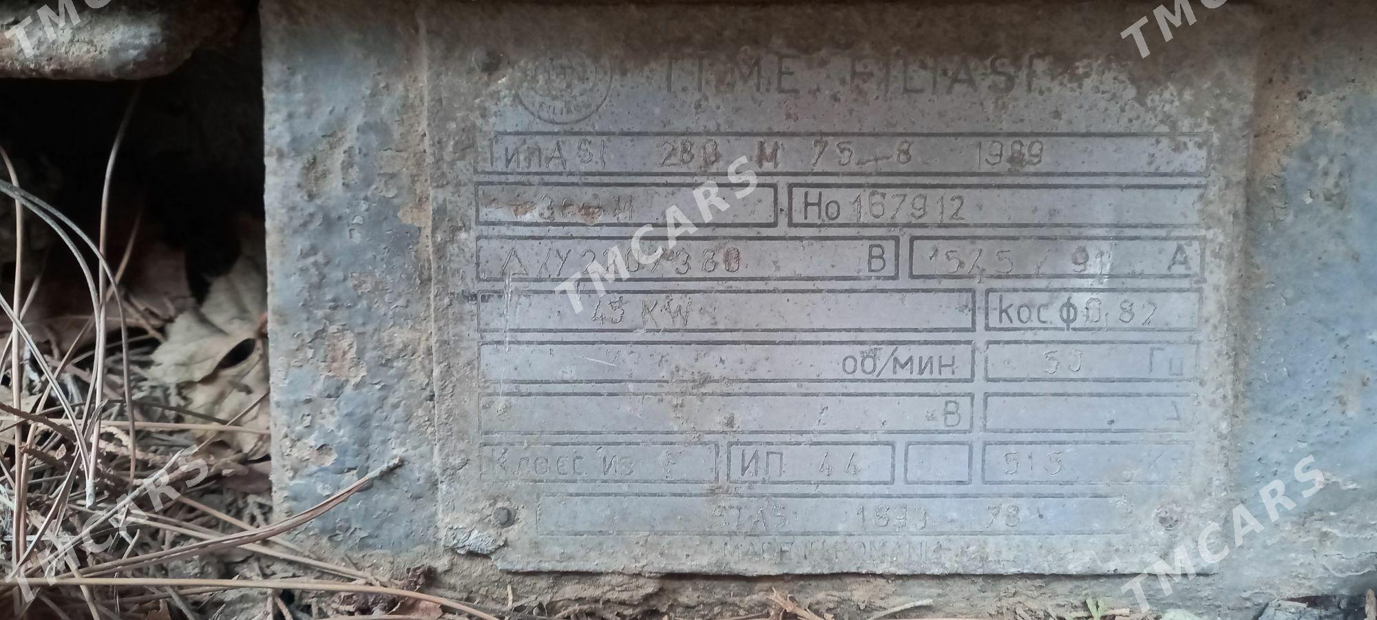 pelogram - Murgap - img 2