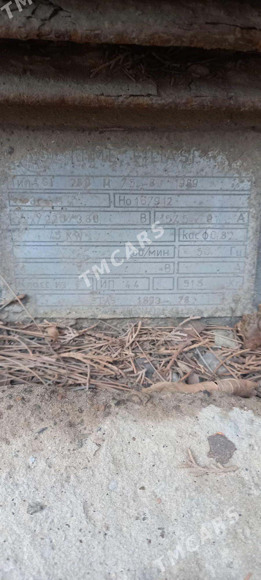 pelogram - Murgap - img 3