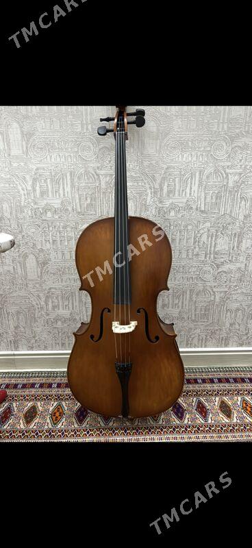 Saz guraly Wiolençel - Aşgabat - img 4