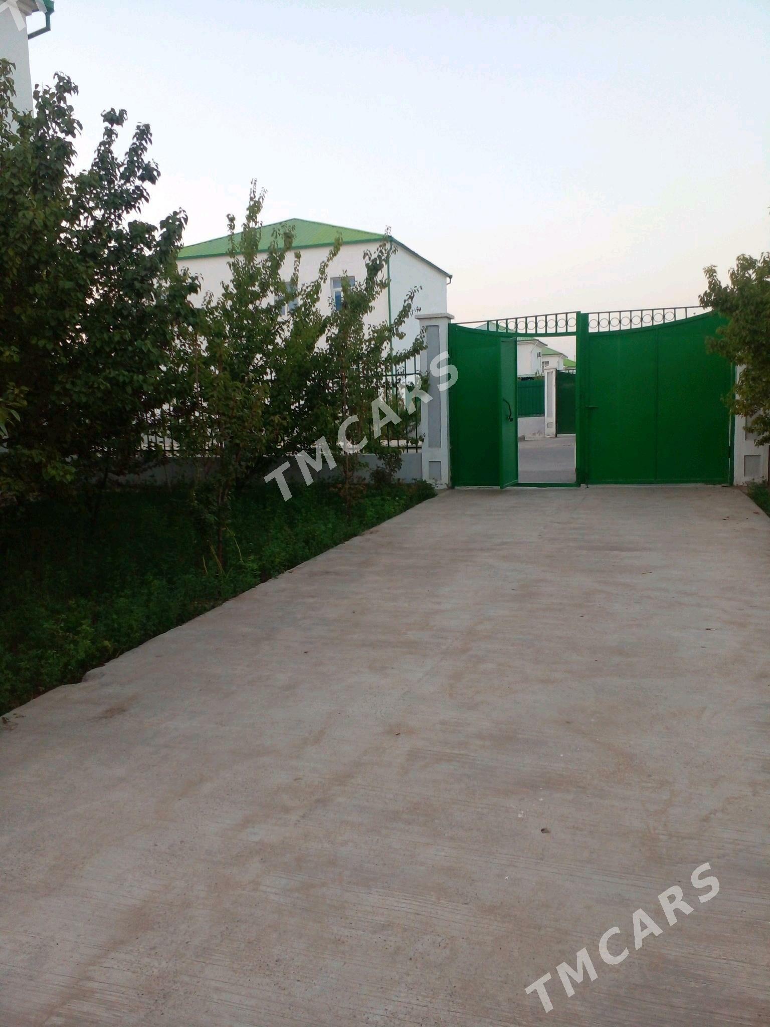 arenda jay arend kw taze zaman - Ашхабад - img 4