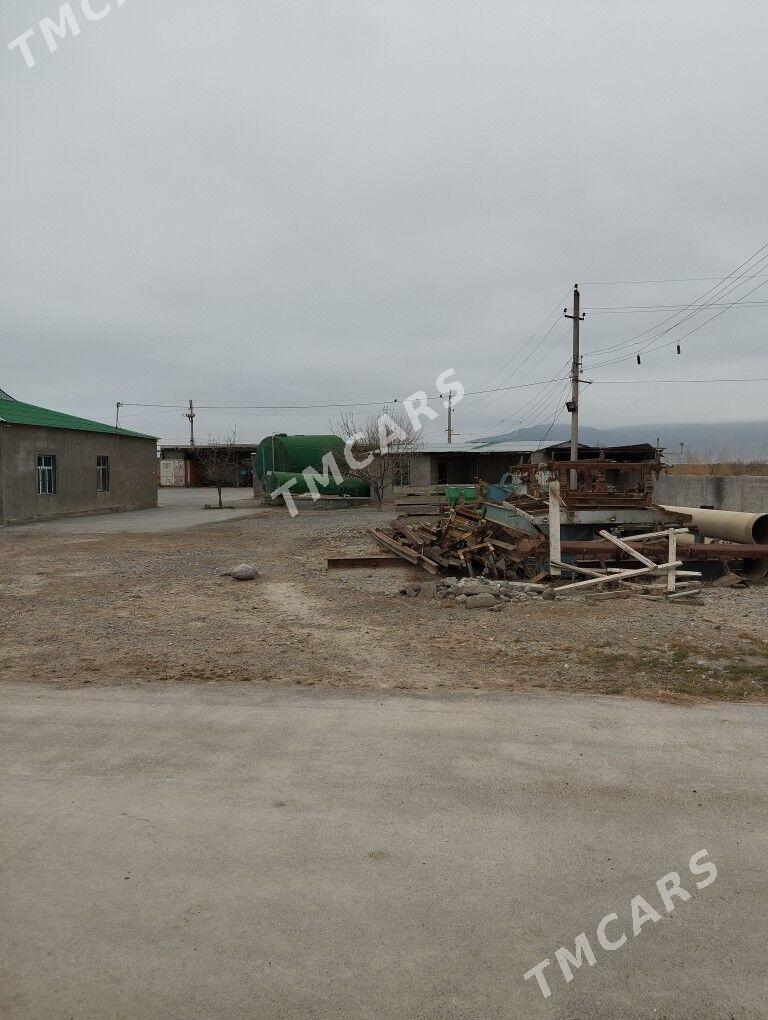 Maldarçylyk ferma satlyk - Gökdepe - img 4
