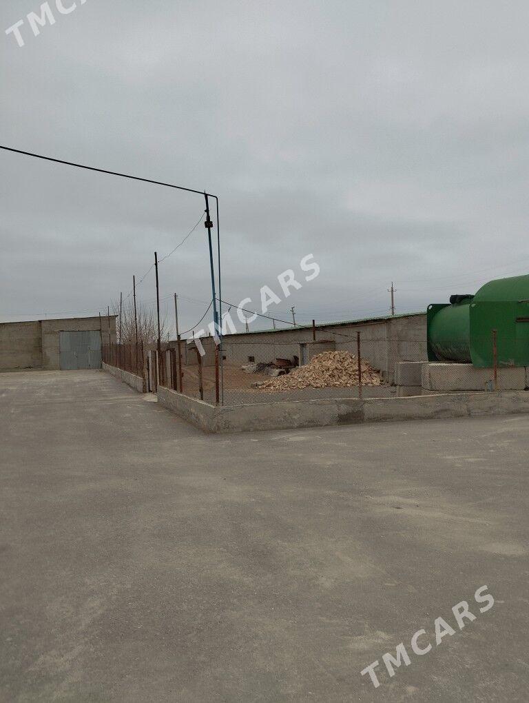 Maldarçylyk ferma satlyk - Gökdepe - img 2