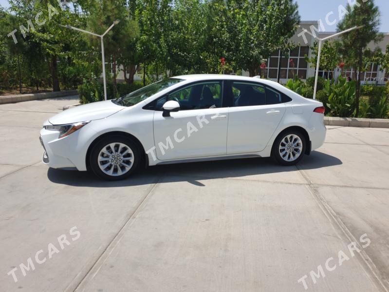 Toyota Corolla 2022 - 266 000 TMT - Çoganly - img 3