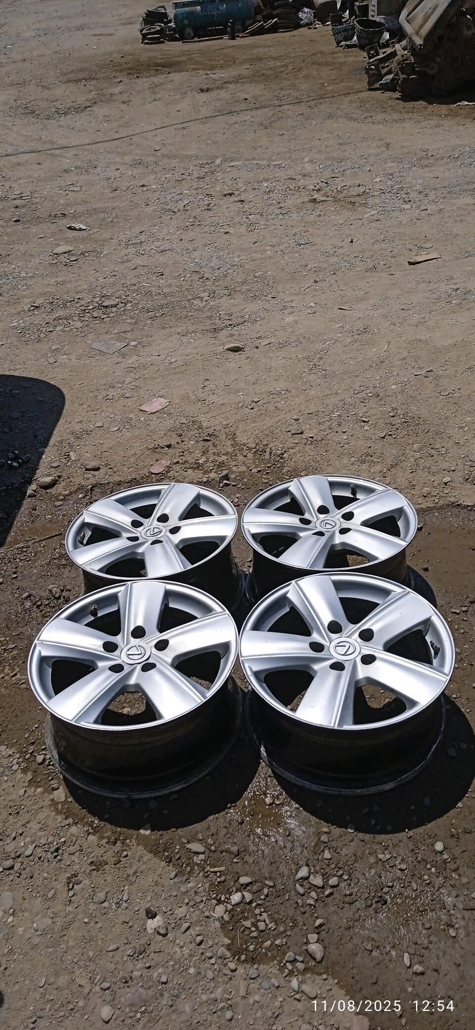 öküz kelle disga R16 1 000 TMT - Mary - img 2