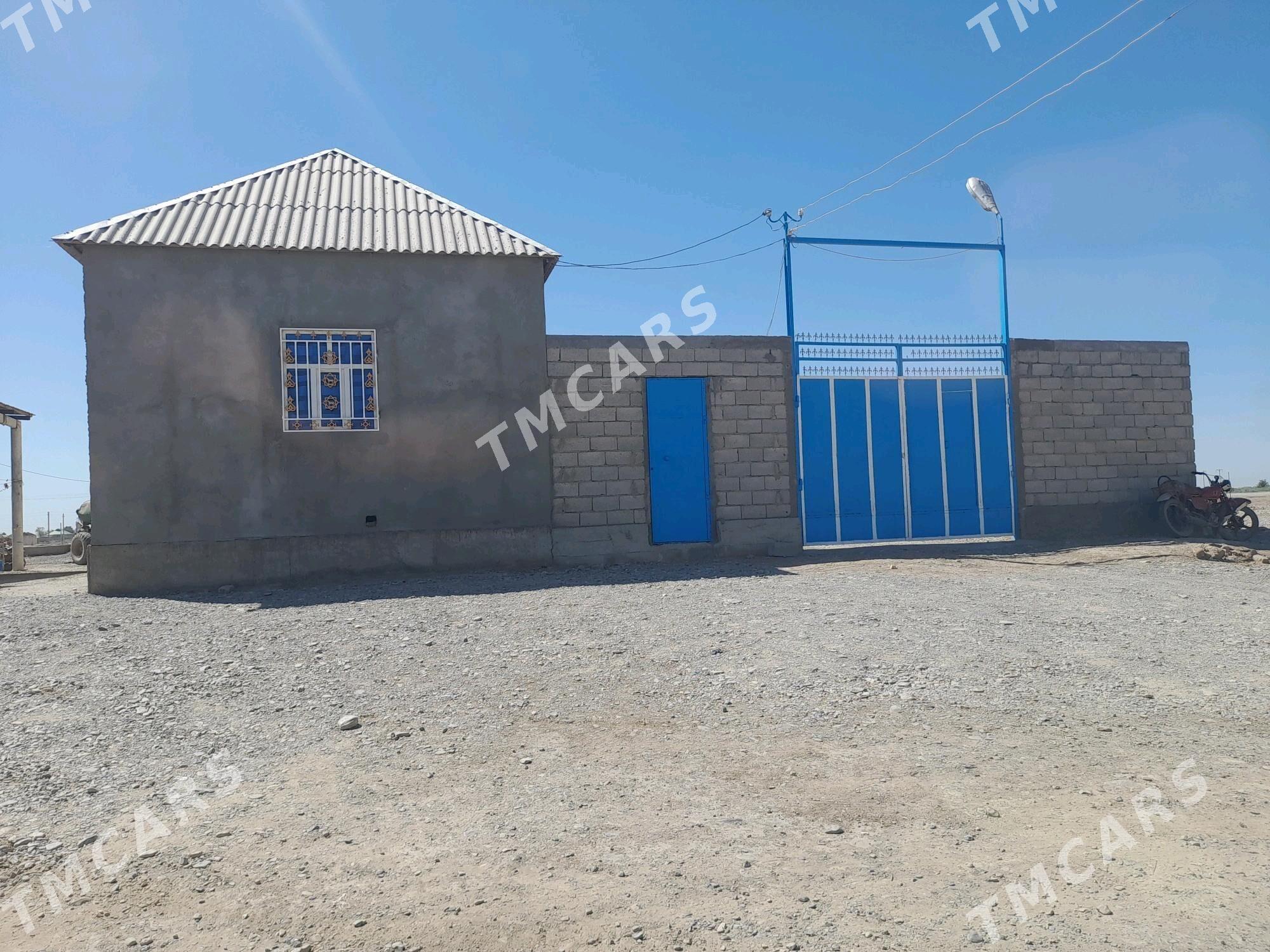satlyk  jaý - Теджен - img 10