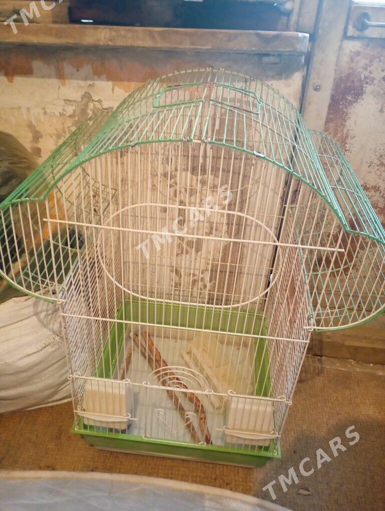Клетки - Hazar - img 2