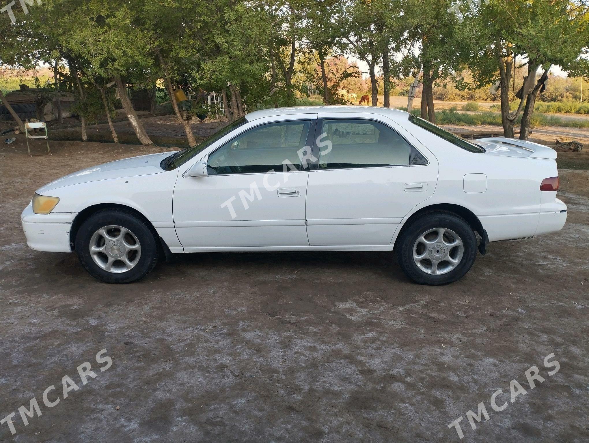 Toyota Camry 2000 - 140 000 TMT - Köneürgenç - img 3