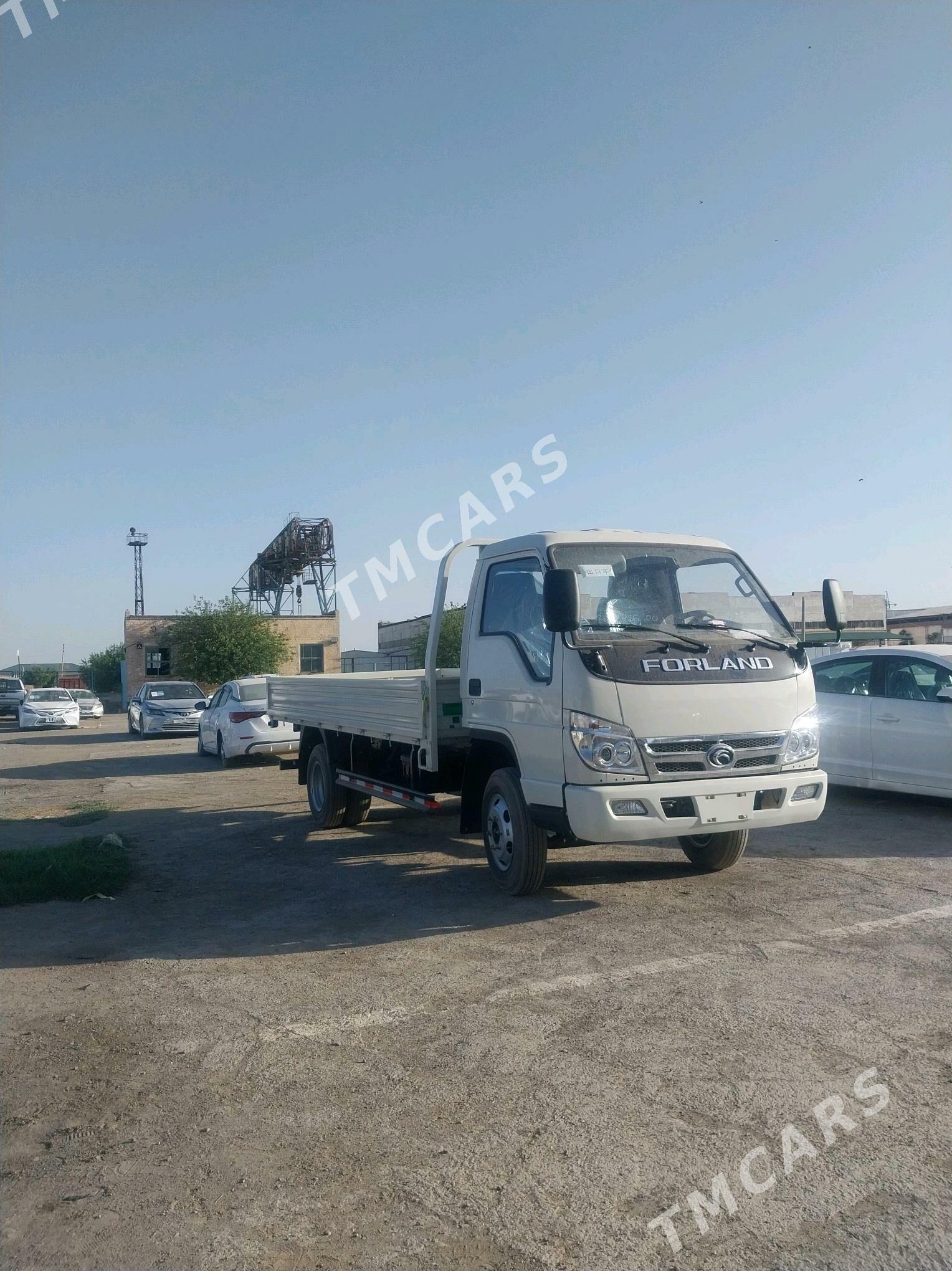 Forland H2 2025 - 220 000 TMT - Мары - img 4