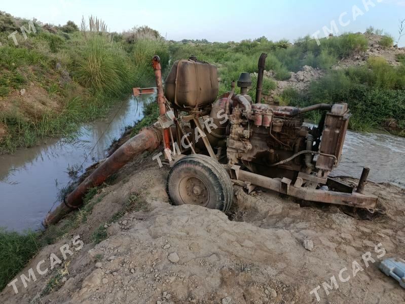 MTZ 80 2002 - 18 000 TMT - Gurbansoltan Eje - img 2