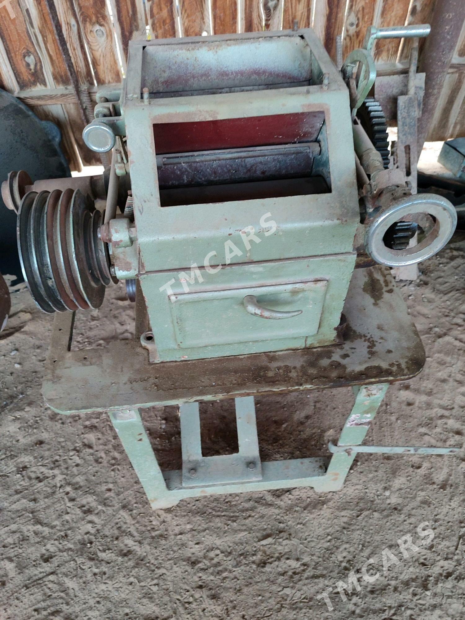 Un haraz - Sakarçäge - img 2