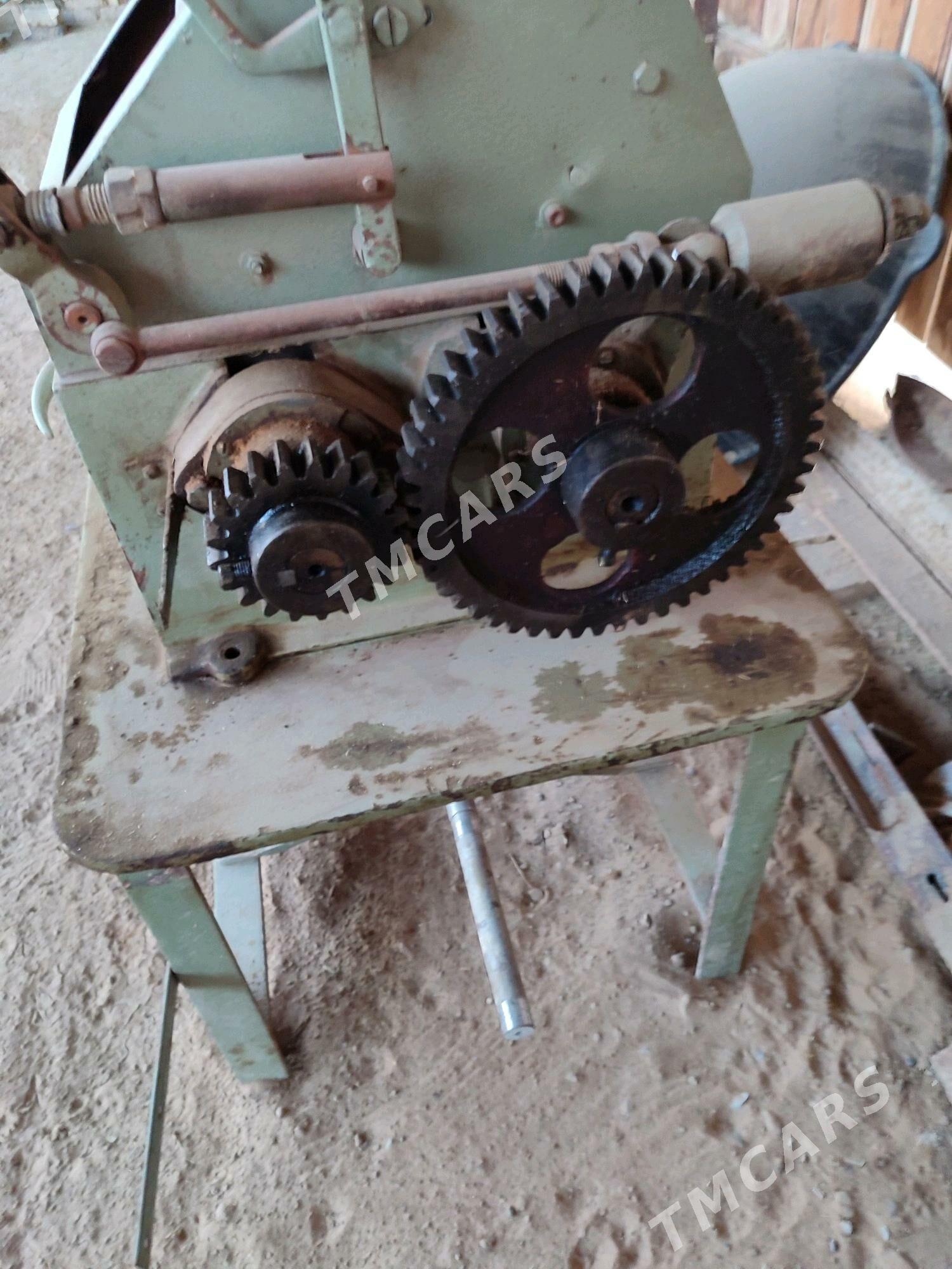 Un haraz - Sakarçäge - img 3