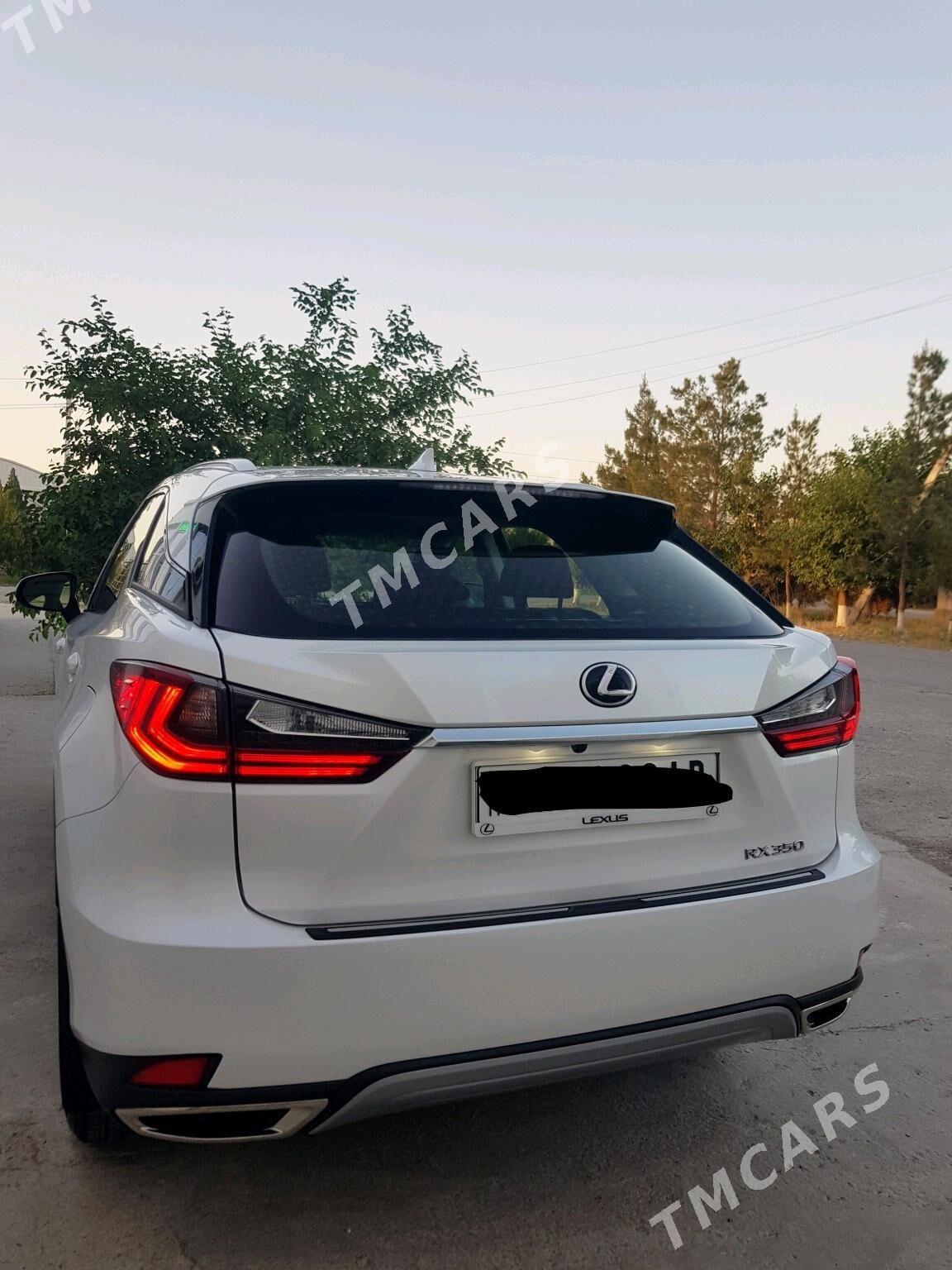 Lexus RX 350 2022 - 977 000 TMT - Türkmenabat - img 2