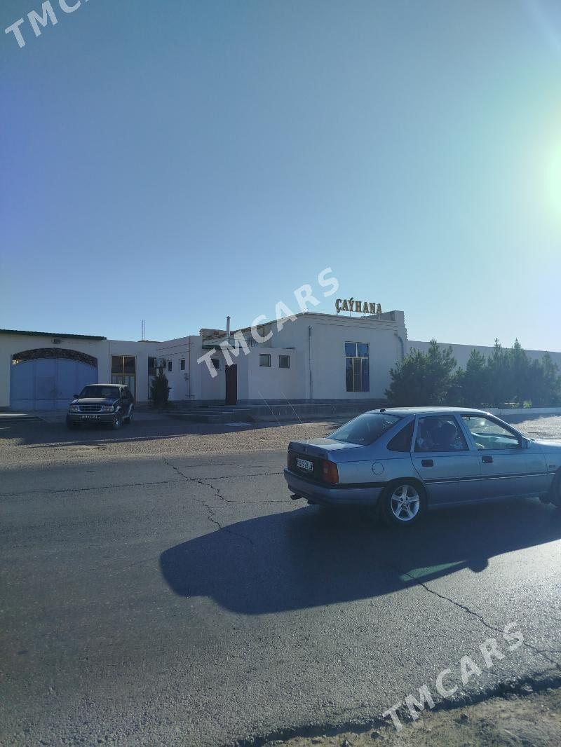 Tayyar kafe - Çärjew - img 10