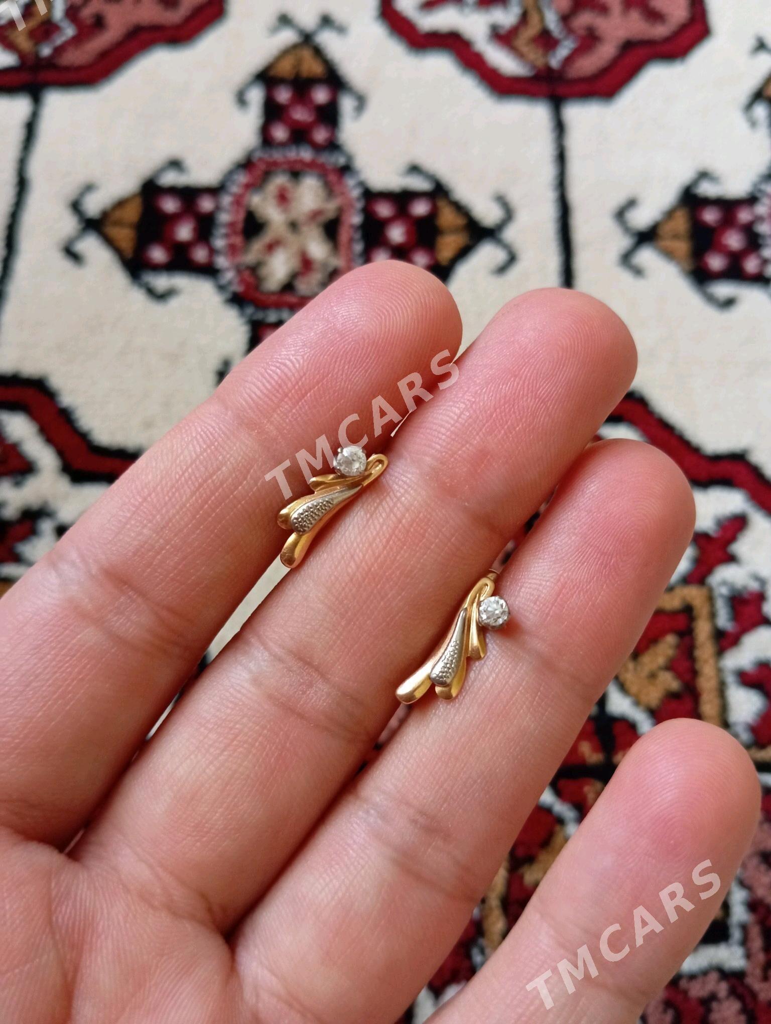gyzyl gulakhalka - Köşi - img 2