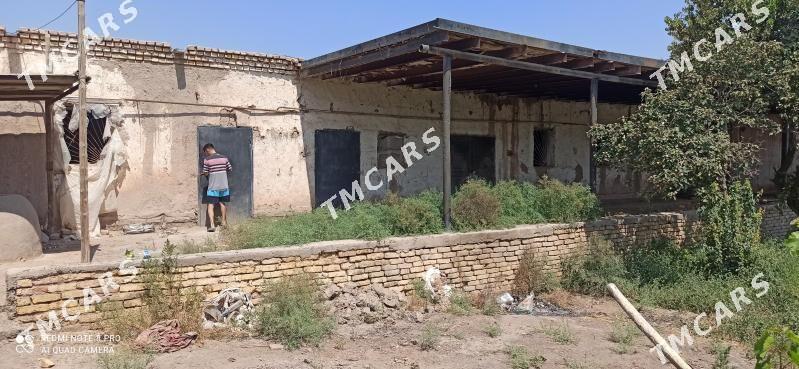 arenda yer sklad uçin - Daşoguz - img 3