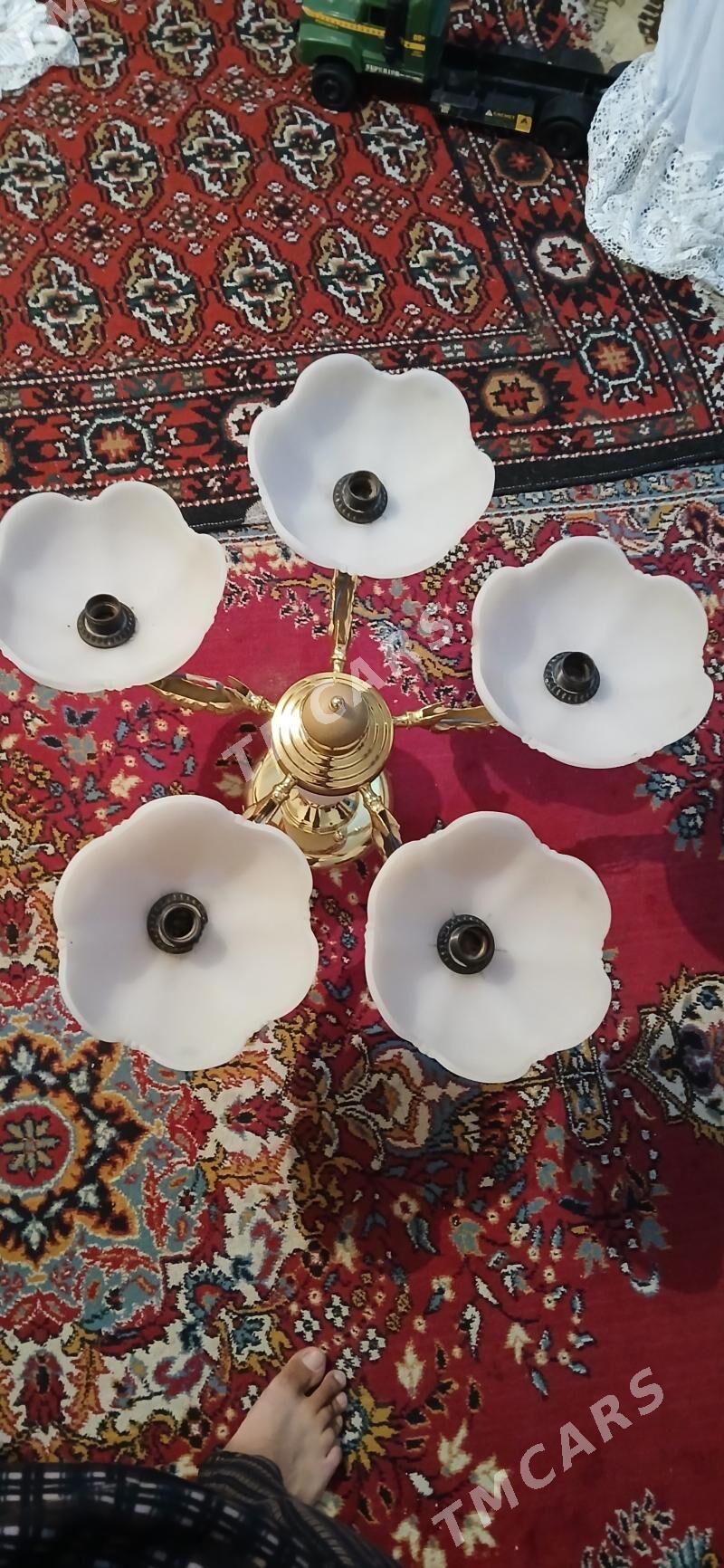 ysklandrjy cyra lusdra - Aşgabat - img 2