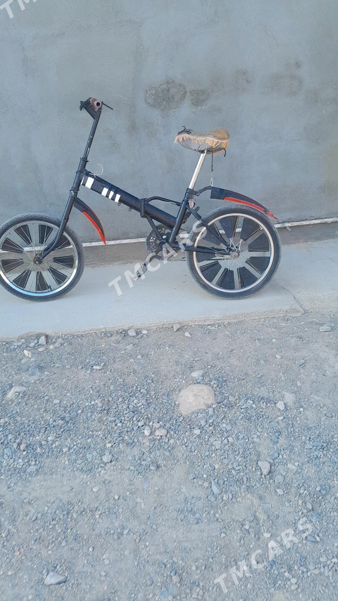 kama welsepet - Gyzylarbat - img 3