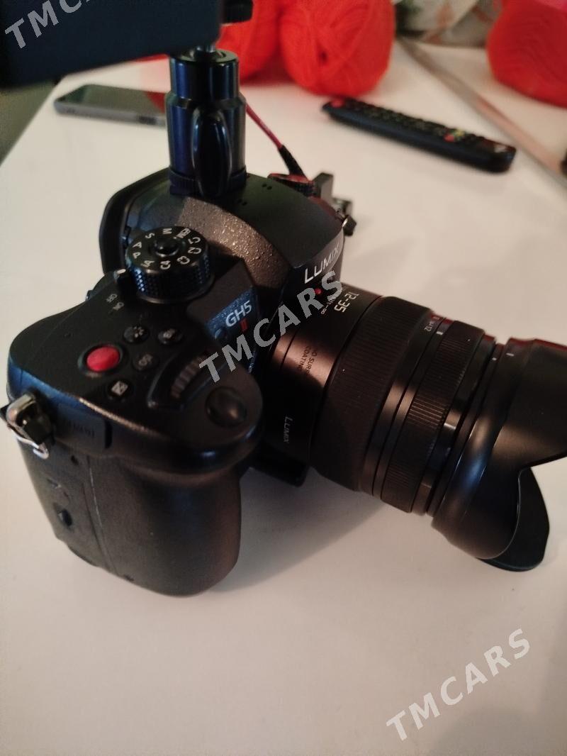 Lumix gh 5.ii 12.35.ii - Херрикгала - img 2