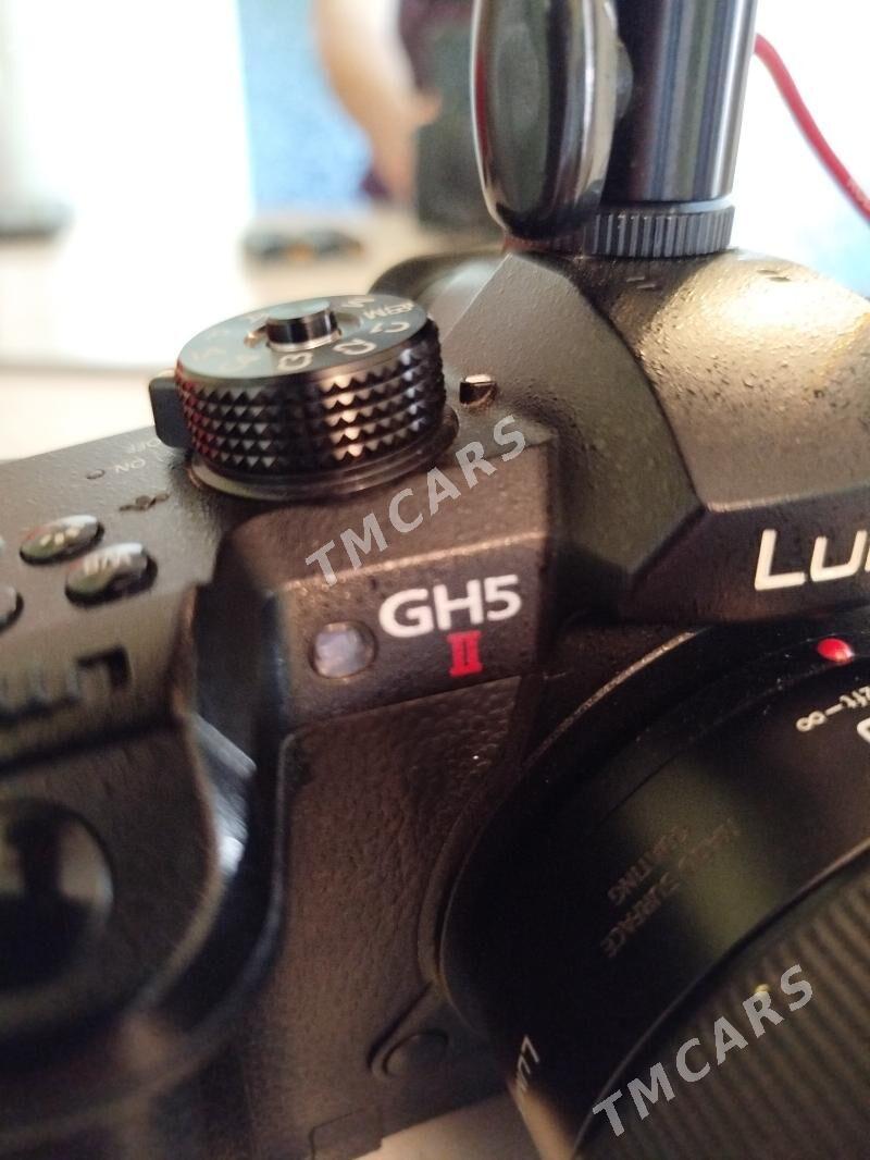 Lumix gh 5.ii 12.35.ii - Херрикгала - img 3
