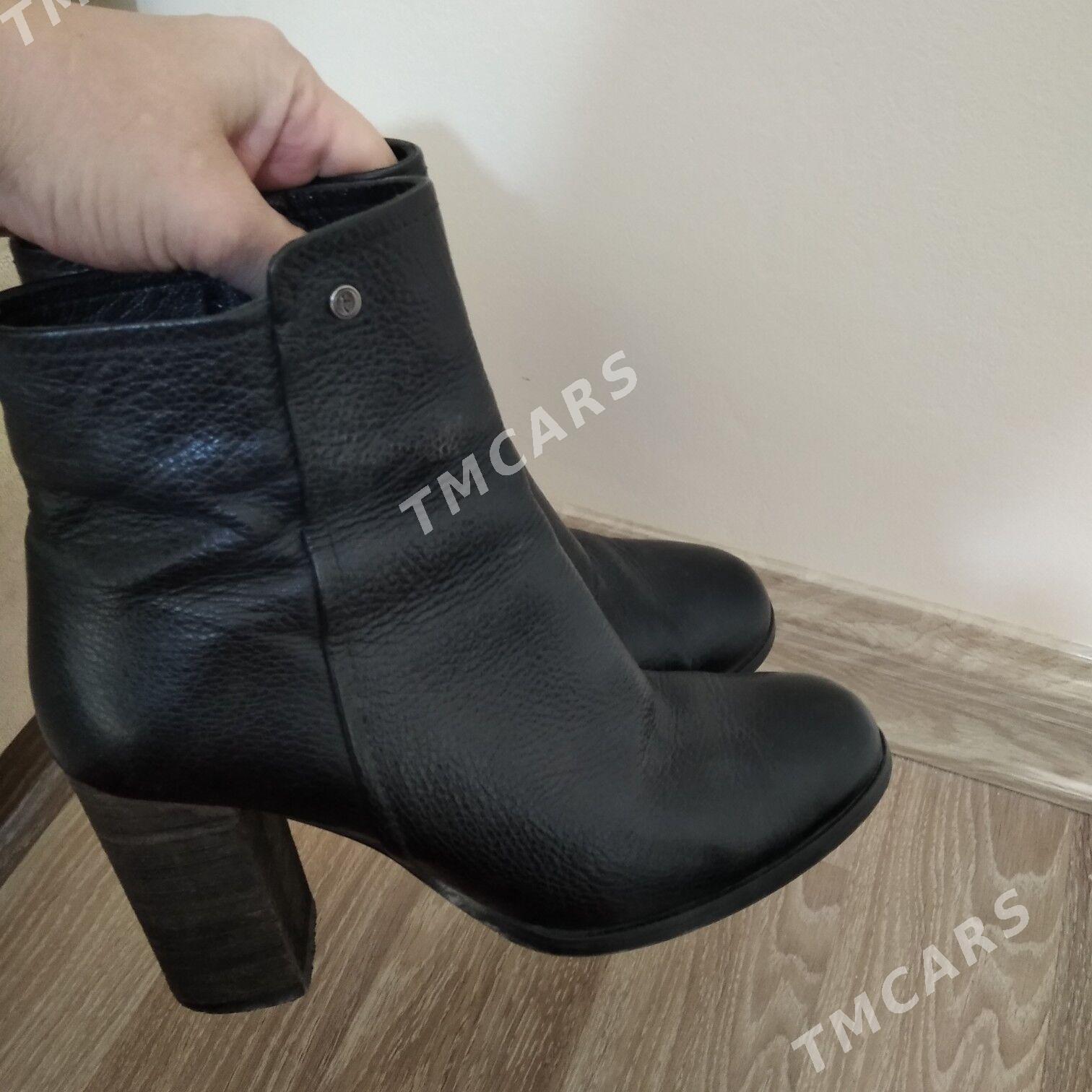 tergan kowus adik - Мир 8 - img 2
