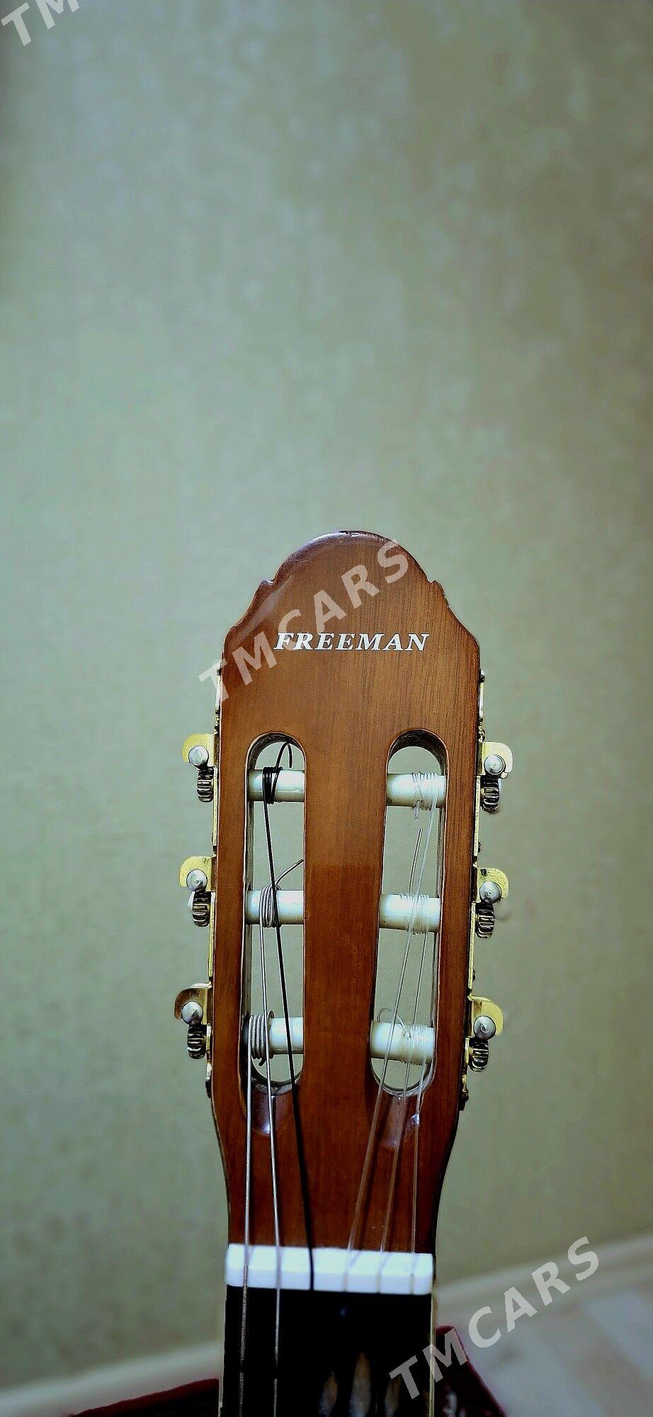 Gitara (FREEMAN) - 8 мкр - img 2