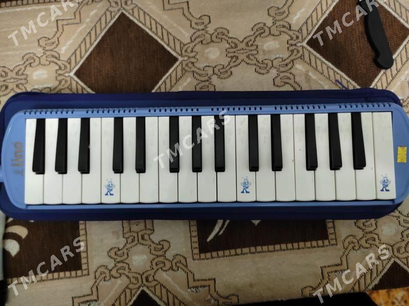pianino - Daşoguz - img 2