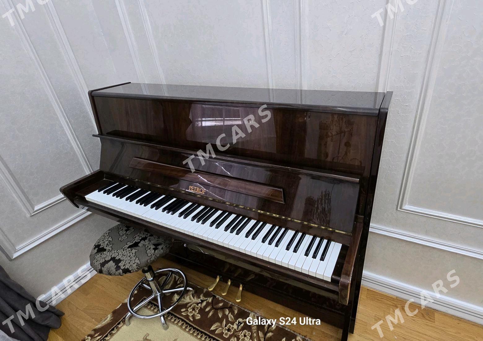 Pianino saz guraly - Ашхабад - img 2