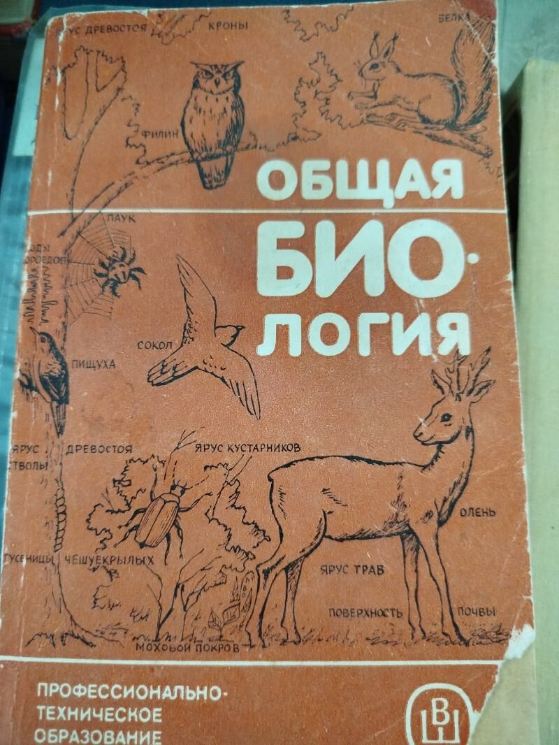 Книги. - Türkmenabat - img 8