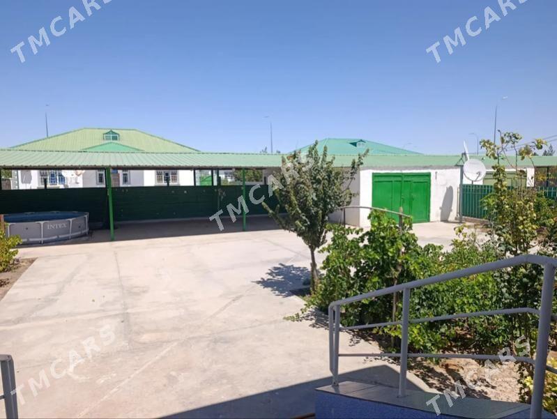 Taze zaman - Aşgabat - img 5