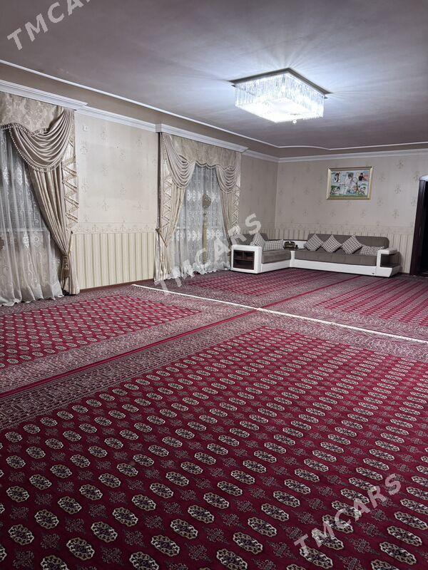 Yalkym kotej - Aşgabat - img 6