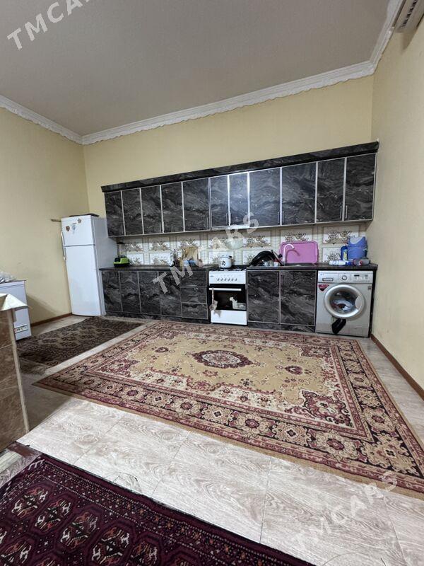 Yalkym kotej - Aşgabat - img 10