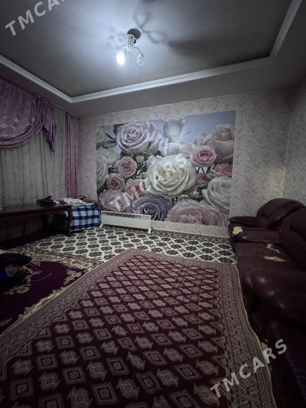 Yalkym kotej - Aşgabat - img 2