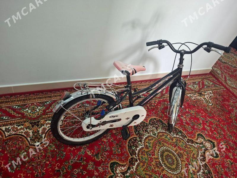 Tigir - Aşgabat - img 2