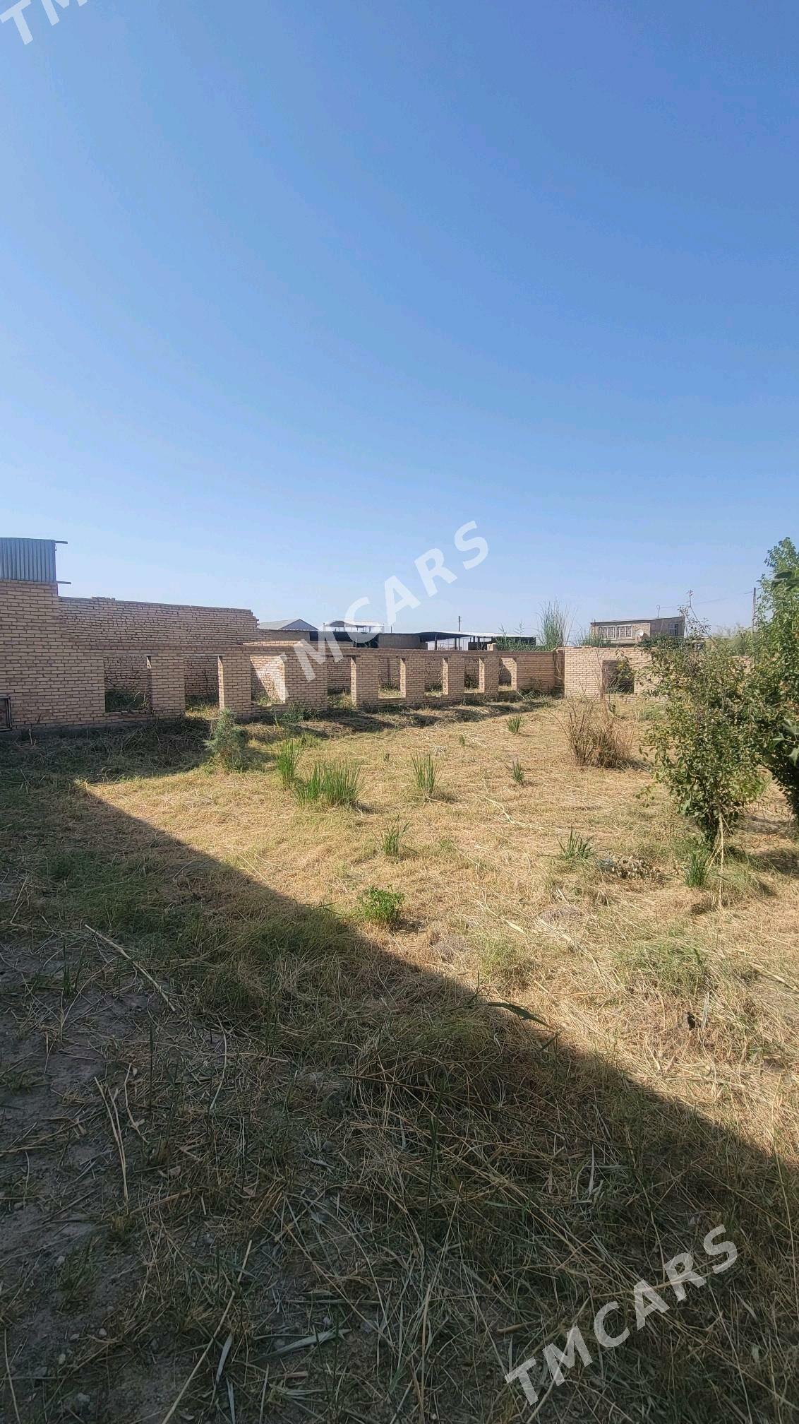 ayraport daca - Türkmenabat - img 3