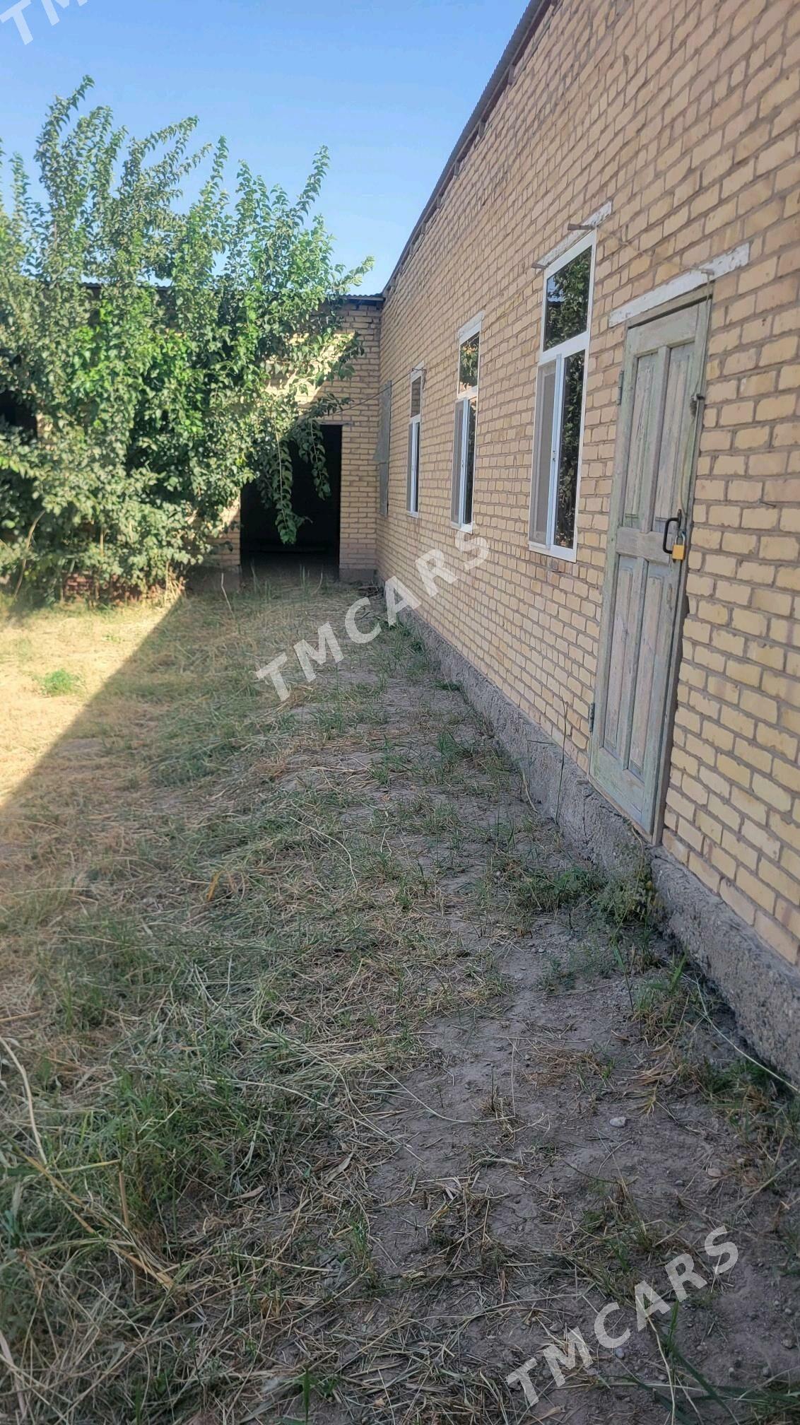 ayraport daca - Türkmenabat - img 2