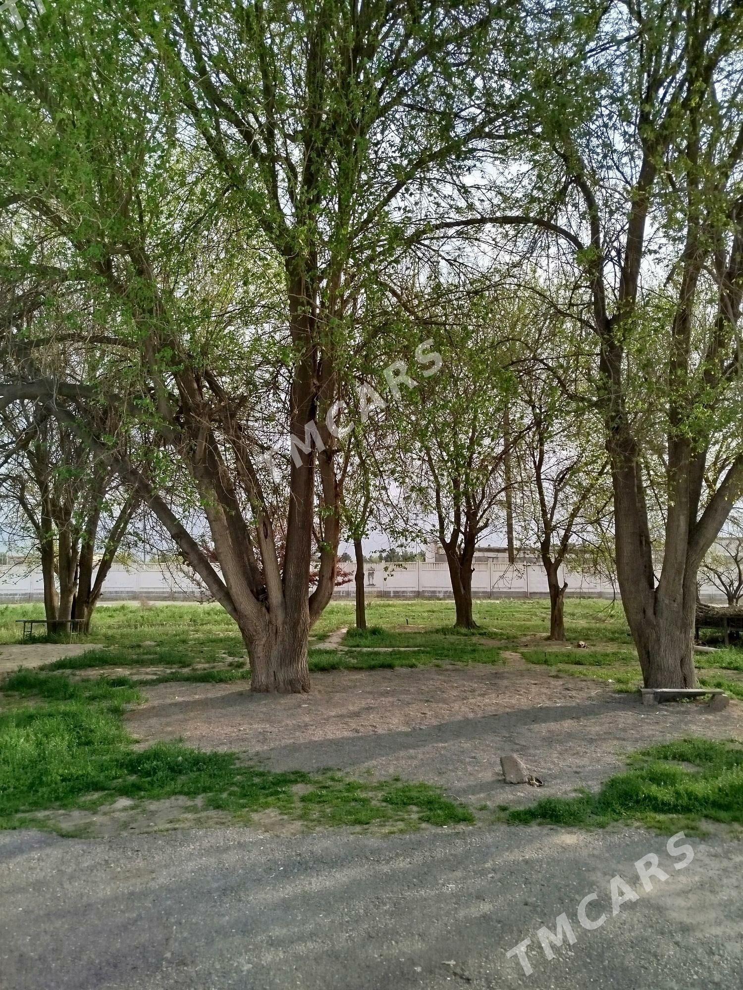 Plan jay  . Плановый дом - Ашхабад - img 3