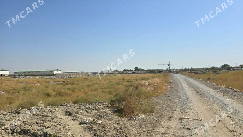 9 gekdar onumcilik ucin - Анев - img 6
