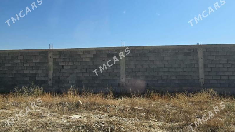 9 gekdar onumcilik ucin - Анев - img 5