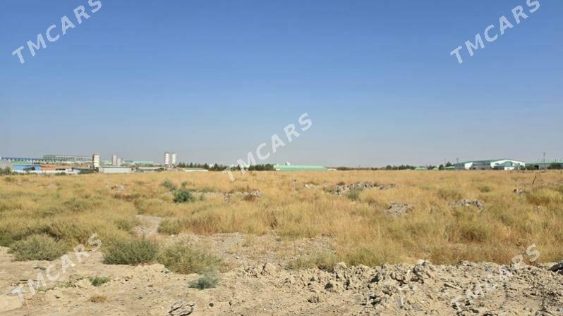9 gekdar onumcilik ucin - Анев - img 4