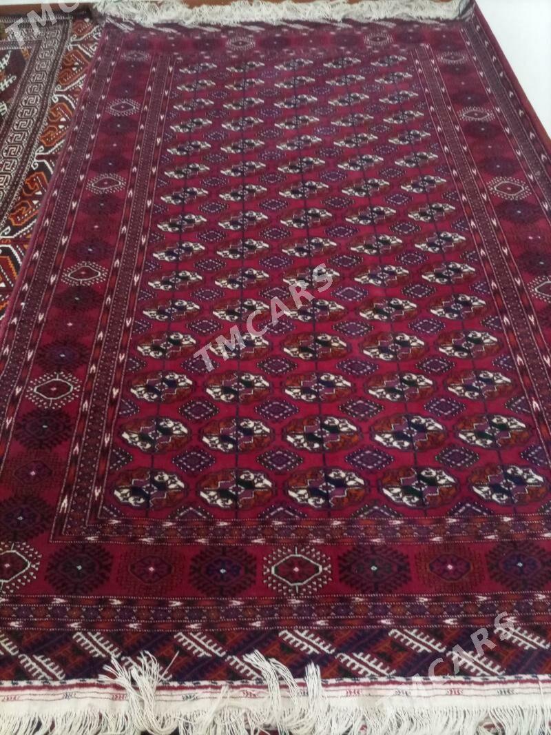EL HALY - Köneürgenç - img 2